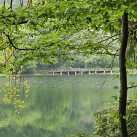 Am Rursee